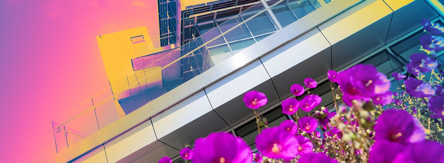 Colorized picture of building with purple flowers in the foreground. 